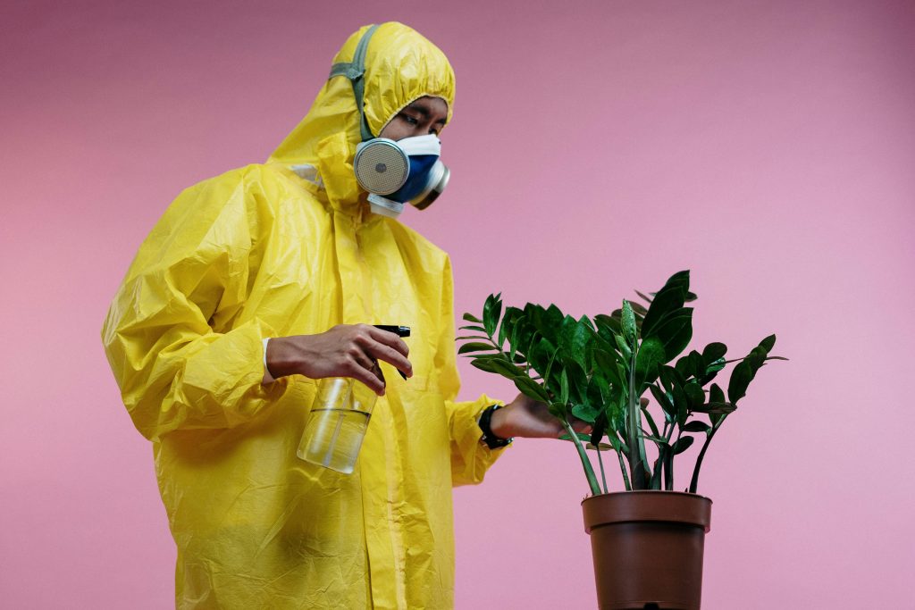 Individual wearing protective suit and mask spraying a potted plant indoors.