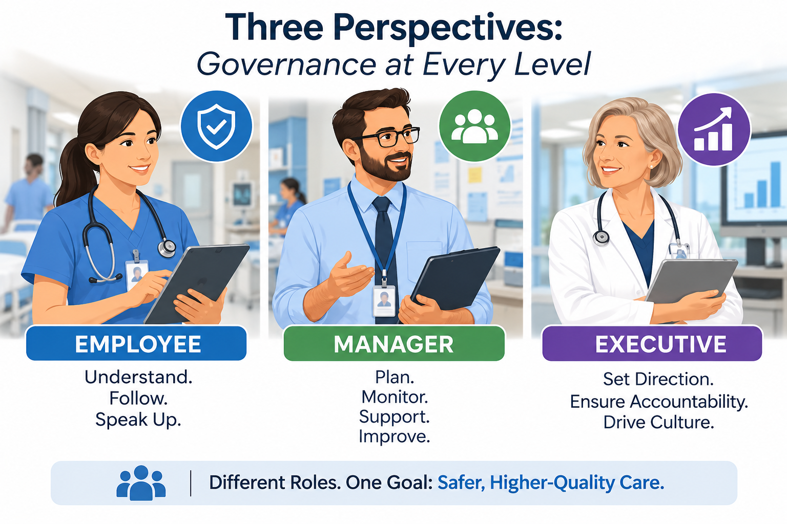 three perspectives healthcare governance